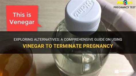 does vinegar terminate pregnancy.